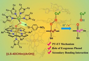 Heme-copper and Heme O2-derived synthetic (bioinorganic) chemistry toward an understanding of cytochrome c oxidase dioxygen chemistry
