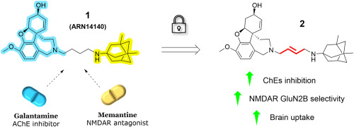 Galantamine-memantine hybrids for Alzheimer's disease: The influence of linker rigidity in biological activity and pharmacokinetic properties