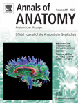 Vulnerable in the end – Longitudinal study among medical students on mental health and personal and work-related resources over a 5.5-year-period