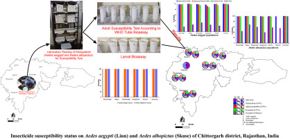 Insecticide susceptibility status on Aedes aegypti (Linn) and Aedes albopictus (Skuse) of Chittorgarh district, Rajasthan, India