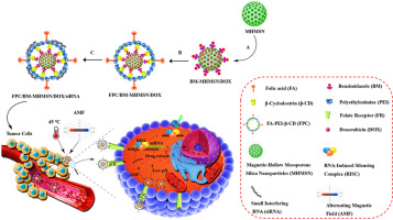 Stimulus-responsive nanocarrier from star-shaped polyethyleneimine-β-cyclodextrin coated mesoporous silica for targeted combination cancer therapy