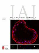 Protective efficacy and correlates of immunity of immunodominant recombinant Babesia microti antigens