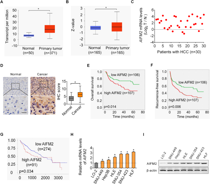 AIFM2 promotes hepatocellular carcinoma metastasis by enhancing mitochondrial biogenesis through activation of SIRT1/PGC-1α signaling