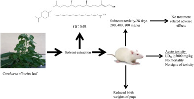 Phytochemical composition, toxicological profiling and effect on pup birth weight of Corchorus olitorius leaf extract in rats: Implications for fetal macrosomia control