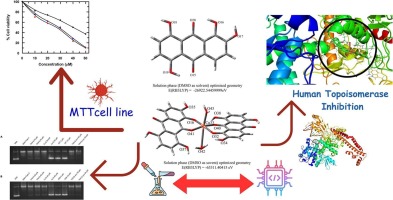 Utilizing coordination chemistry through formation of a CuII-quinalizarin complex to manipulate cell biology: An in vitro, in silico approach