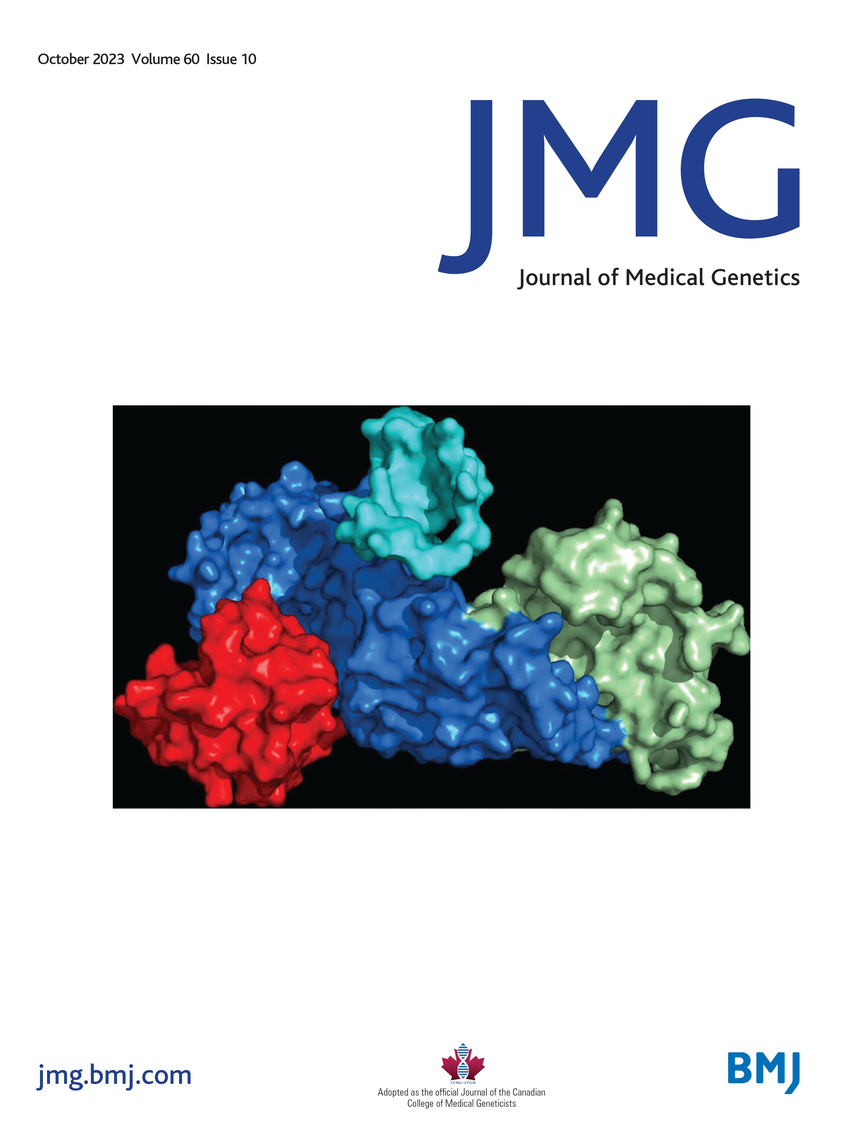 Mutations in VWA8 cause autosomal-dominant retinitis pigmentosa via aberrant mitophagy activation