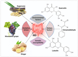 Anti-inflammatory natural products modulate interleukins and their related signaling markers in inflammatory bowel disease: a systematic review
