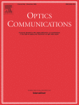 Twisted polarization domains and their dynamics