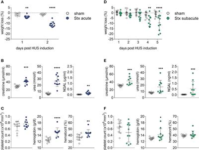 Cardiovascular impairment in Shiga-toxin-2-induced experimental hemolytic–uremic syndrome: a pilot study