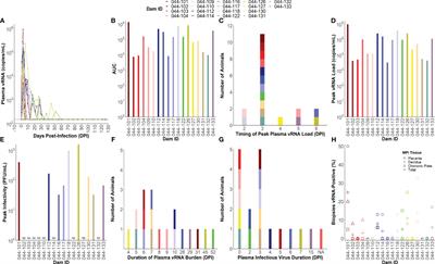 Control of maternal Zika virus infection during pregnancy is associated with lower antibody titers in a macaque model