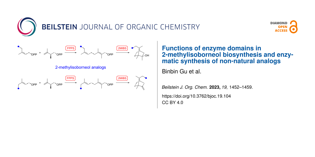 Functions of enzyme domains in 2-methylisoborneol biosynthesis and enzymatic synthesis of non-natural analogs