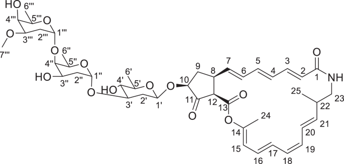 Haneummycin, a new 22-membered macrolide lactam antibiotic, produced by marine-derived Streptomyces sp. KM77-8