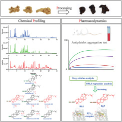 An innovative processing driven efficient transformation of rare ginsenosides enhances anti-platelet aggregation potency of notoginseng by integrated analyses of processing-(chemical) profiling-pharmacodynamics
