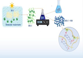Microalgal-based macro-hollow loofah fiber bio-composite for methylene blue removal: A promising step for a green adsorbent