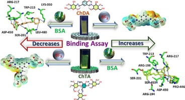 Network-supported and adaptable binding efficacy for flexible and multi-functionalized chitosan/phenolic carbaldehyde hydrogels