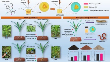 Green synthesis of a chlorfenapyr chitosan nanopesticide for maize root application: Reducing environmental pollution and risks to nontarget organisms