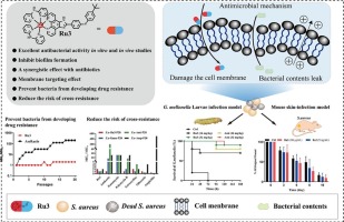 Metal-ruthenium complex based on dipyridylamine group as membrane-active antibacterial agent effectively decrease the development of drug-resistance on Staphylococcus aureus