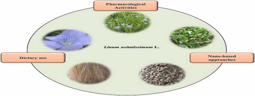 A systematic review on the pharmacological potential of Linum usitatissimum L.: a significant nutraceutical plant