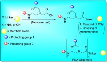 Peptide Nucleic Acids: Recent Developments in the Synthesis and Backbone Modifications