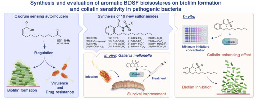 Synthesis and evaluation of aromatic BDSF bioisosteres on biofilm formation and colistin sensitivity in pathogenic bacteria
