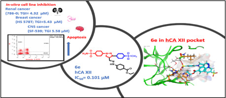Exploring novel anticancer pyrazole benzenesulfonamides featuring tail approach strategy as carbonic anhydrase inhibitors