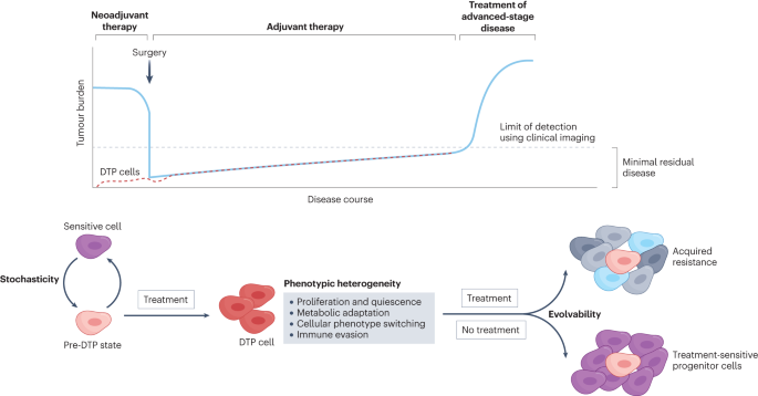 Drug-tolerant persister cells in cancer: the cutting edges and future directions