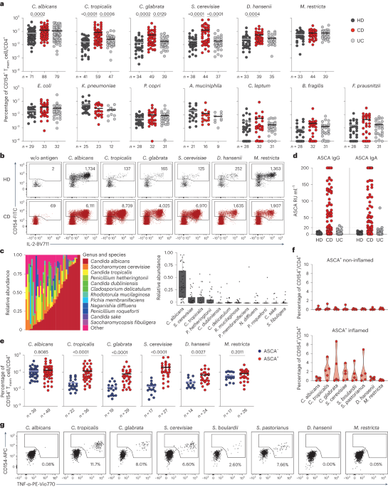 Selection of cross-reactive T cells by commensal and food-derived yeasts drives cytotoxic TH1 cell responses in Crohn’s disease