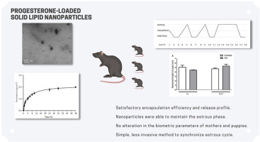 Progesterone-loaded solid lipid nanoparticles for use in the regulation of the estrous cycle in female rats