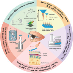 Ganciclovir nanosuspension-loaded detachable microneedles patch for enhanced drug delivery to posterior eye segment