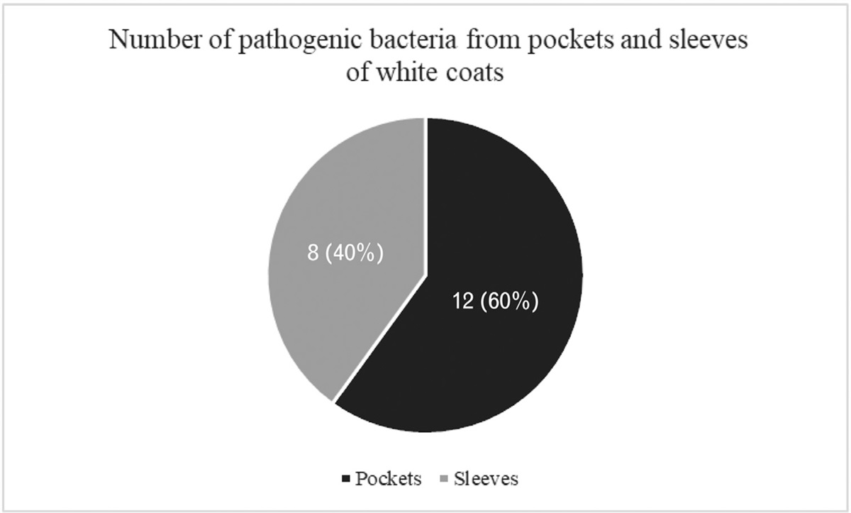 Bacterial contamination on the white coats of medical laboratory students at a tertiary care hospital