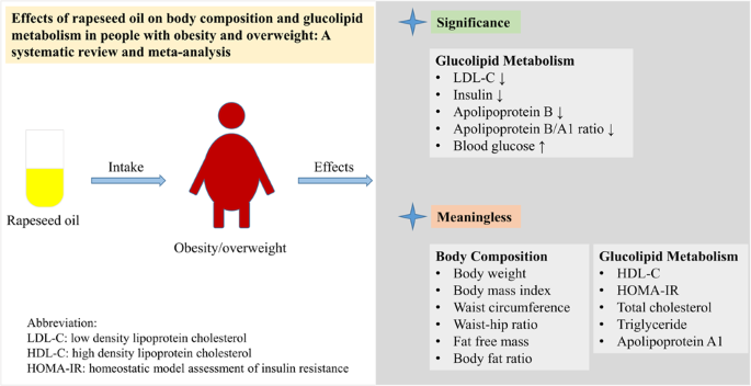 Effects of rapeseed oil on body composition and glucolipid metabolism in people with obesity and overweight: a systematic review and meta-analysis