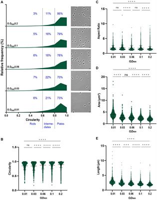 "Influence of plasmids, selection markers and auxotrophic mutations on Haloferax volcanii cell shape plasticity."