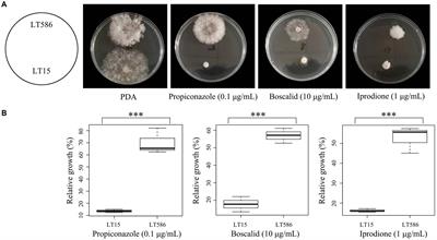 Genome-wide transcriptional analyses of Clarireedia jacksonii isolates associated with multi-drug resistance
