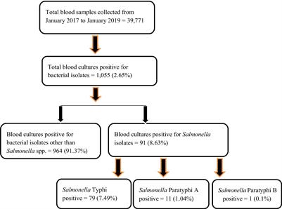 Salmonella infection among the pediatric population at a tertiary care children’s hospital in central Nepal: a retrospective study