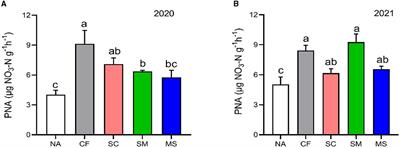 The impact of fertilization on ammonia-oxidizing bacteria and comammox Nitrospira communities and the subsequent effect on N2O emission and maize yield in a semi-arid region