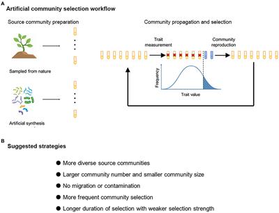 The effectiveness of artificial microbial community selection: a conceptual framework and a meta-analysis