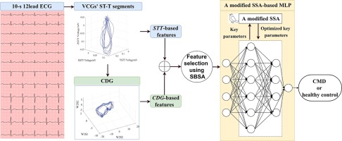 Early detection of coronary microvascular dysfunction using machine learning algorithm based on vectorcardiography and cardiodynamicsgram features