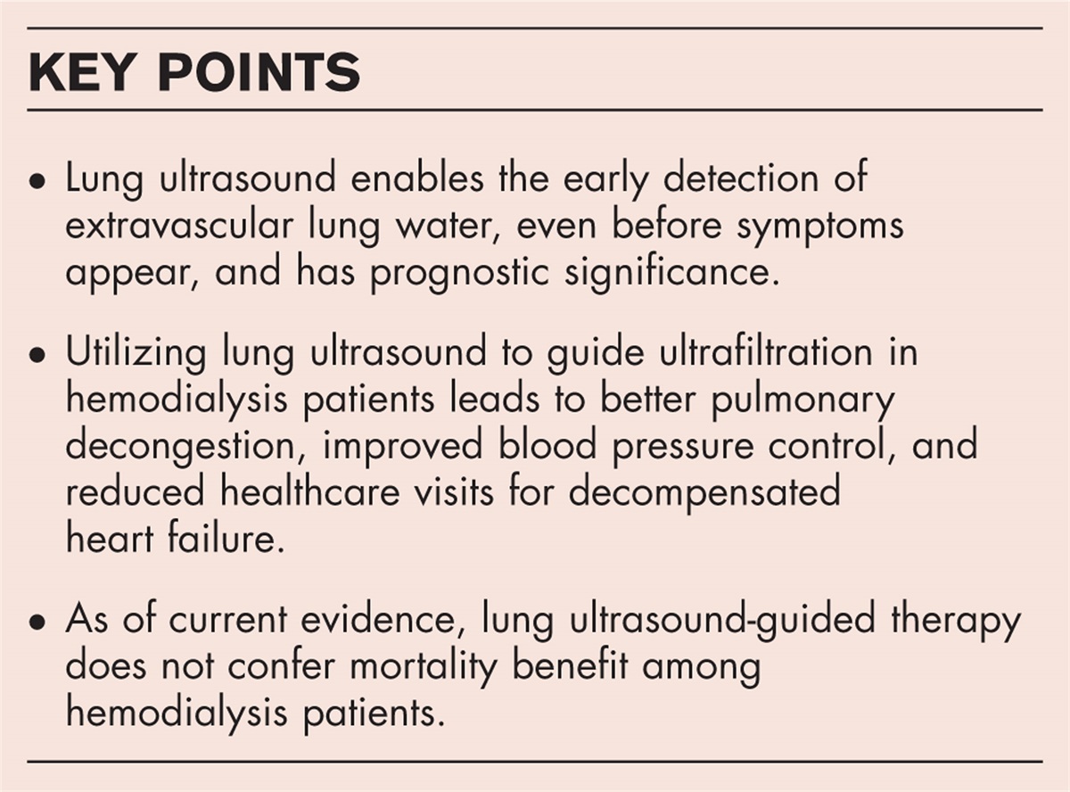 Current opinion in quantitative lung ultrasound for the nephrologist