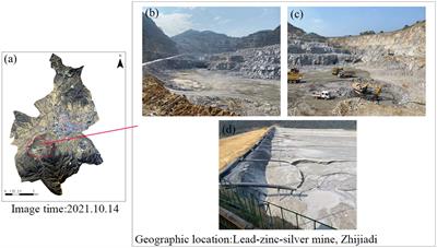 Enhancing remediation potential of heavy metal contaminated soils through synergistic application of microbial inoculants and legumes