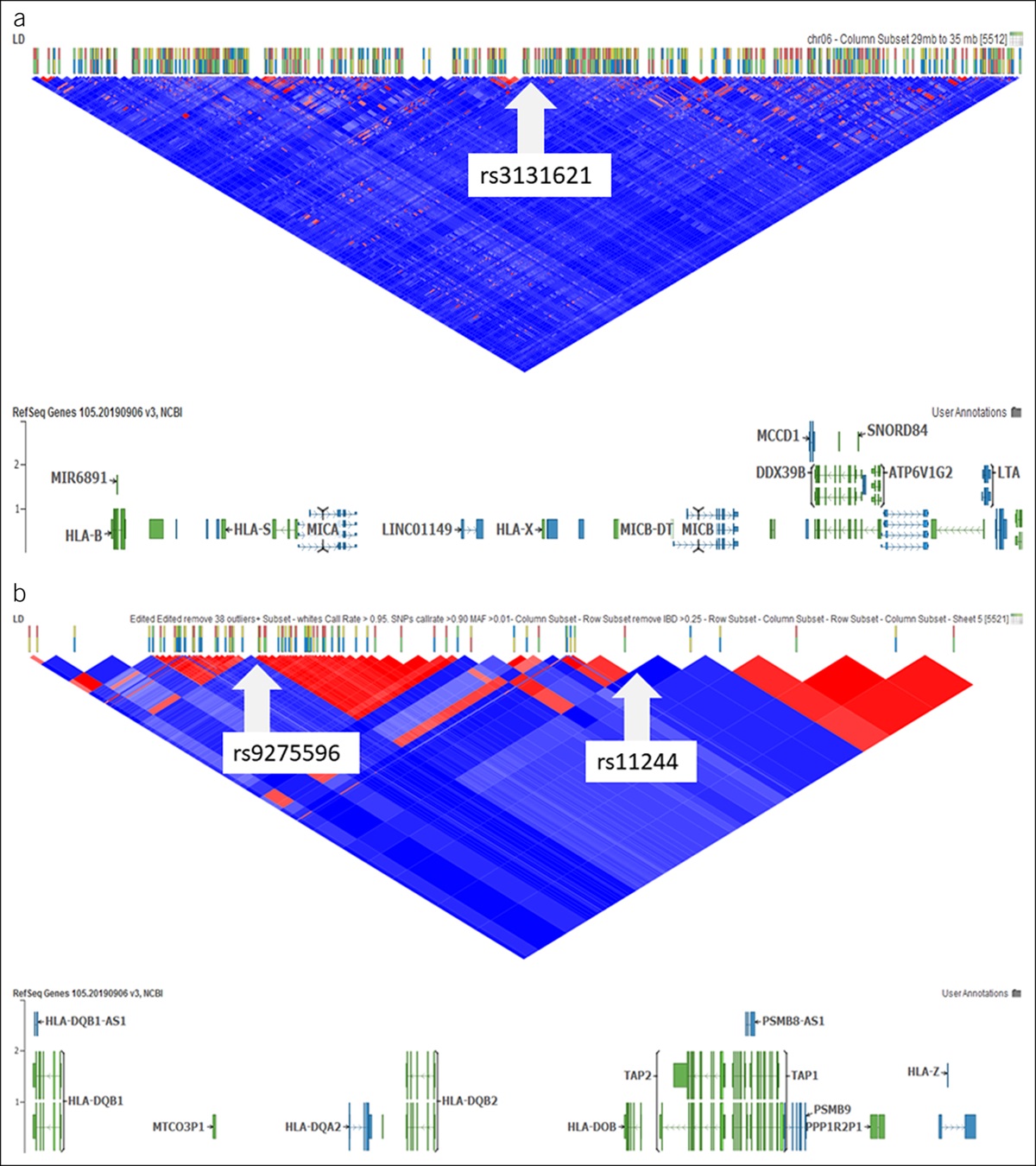 Novel Genetic Risk Variants and Clinical Predictors Associated With Primary Sclerosing Cholangitis in Patients With Ulcerative Colitis