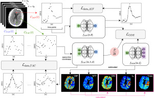 Spatio-temporal physics-informed learning: A novel approach to CT perfusion analysis in acute ischemic stroke