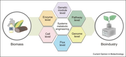 Recent advances in systems metabolic engineering