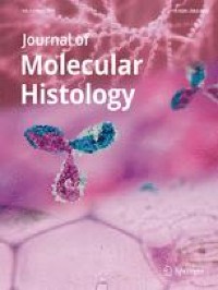 ERO1α promotes the proliferation and inhibits apoptosis of colorectal cancer cells by regulating the PI3K/AKT pathway