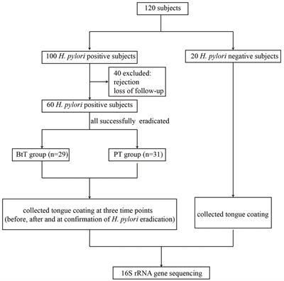The impact of Helicobacter pylori eradication with vonoprazan-amoxicillin dual therapy combined with probiotics on oral microbiota: a randomized double-blind placebo-controlled trial