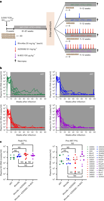 AZD5582 plus SIV-specific antibodies reduce lymph node viral reservoirs in antiretroviral therapy-suppressed macaques