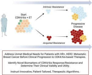 The CDK4/6 Inhibitors Biomarker Landscape: the most Relevant Biomarkers of Response or Resistance for Further Research and Potential Clinical Utility
