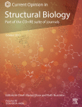 Viral amyloids: New opportunities for antiviral therapeutic strategies