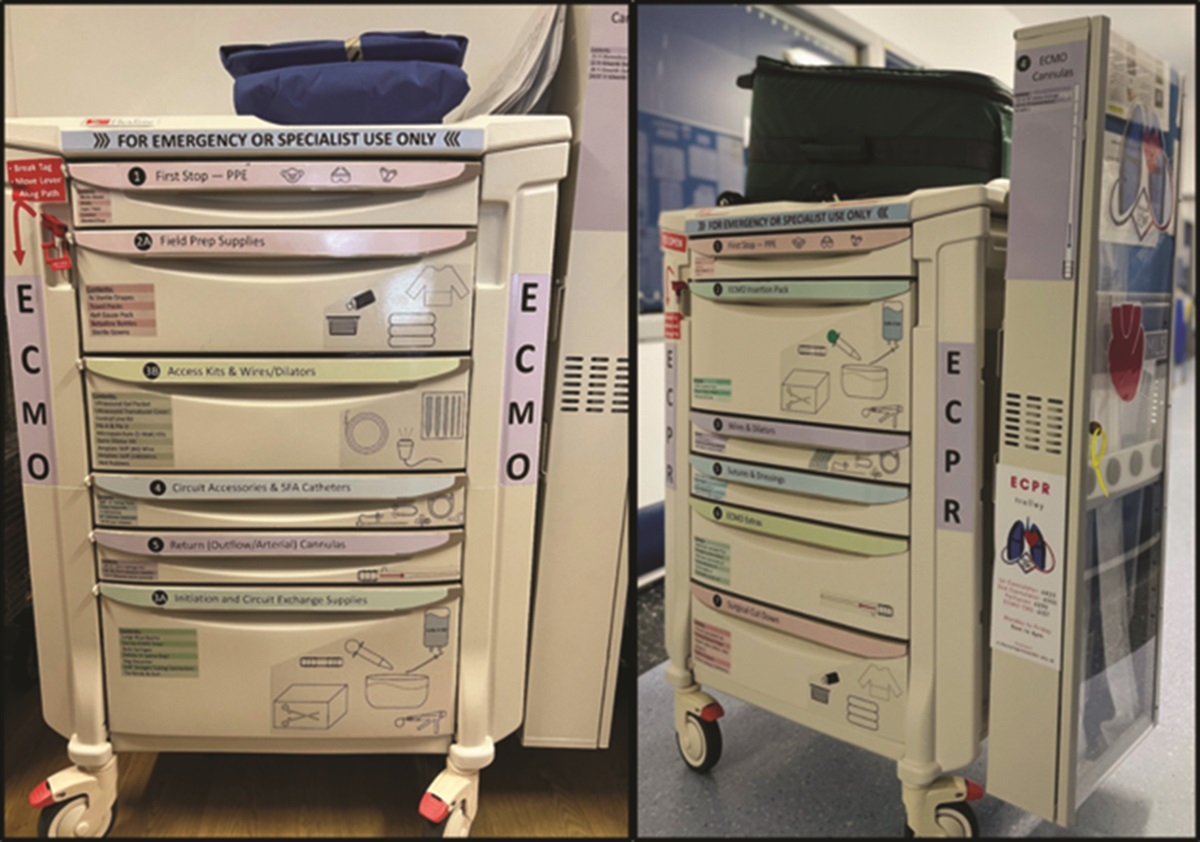 139: A prescriptively designed, human factors focused, emergency ECMO Cart for cannulation or circuit exchange