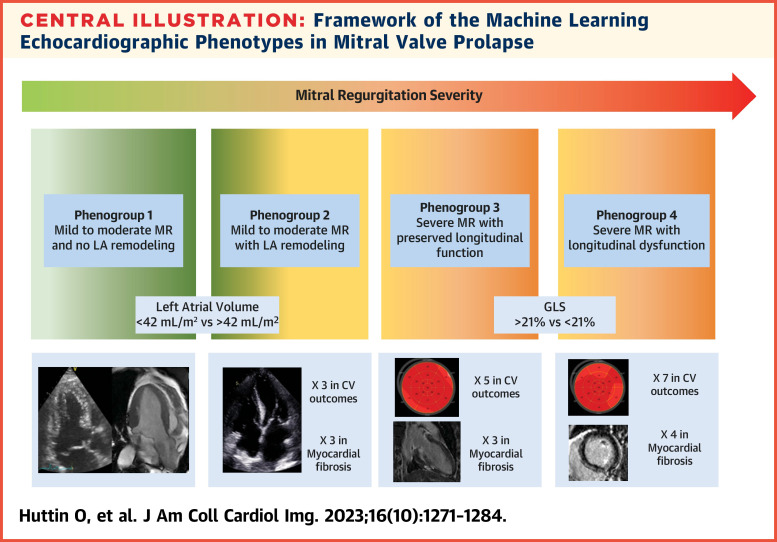 Machine Learning–Based Phenogrouping in MVP Identifies Profiles Associated With Myocardial Fibrosis and Cardiovascular Events