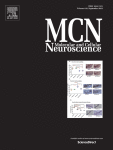 Effect of germ-free status on transcriptional profiles in the nucleus accumbens and transcriptomic response to chronic morphine